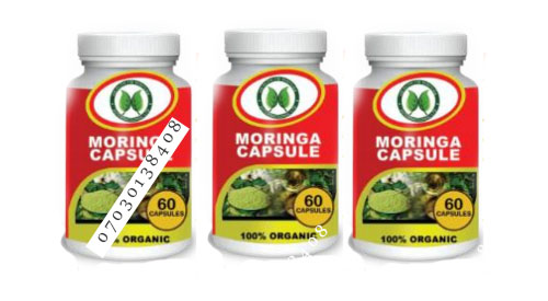 moringa capsules